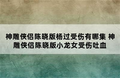 神雕侠侣陈晓版杨过受伤有哪集 神雕侠侣陈晓版小龙女受伤吐血